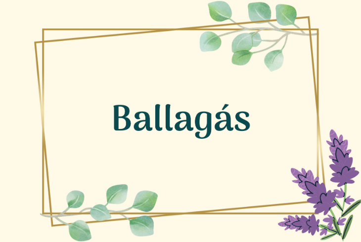 TANVZR NNEPLY S BALLAGS 2025.