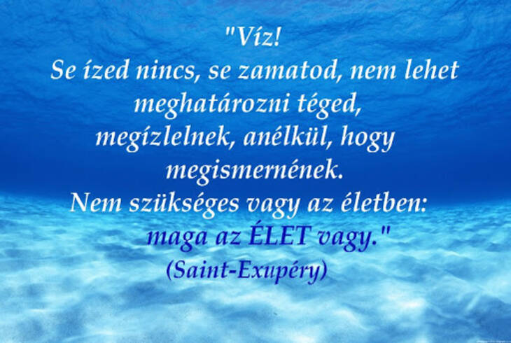 Víz világnapi rajzpályázat eredménye