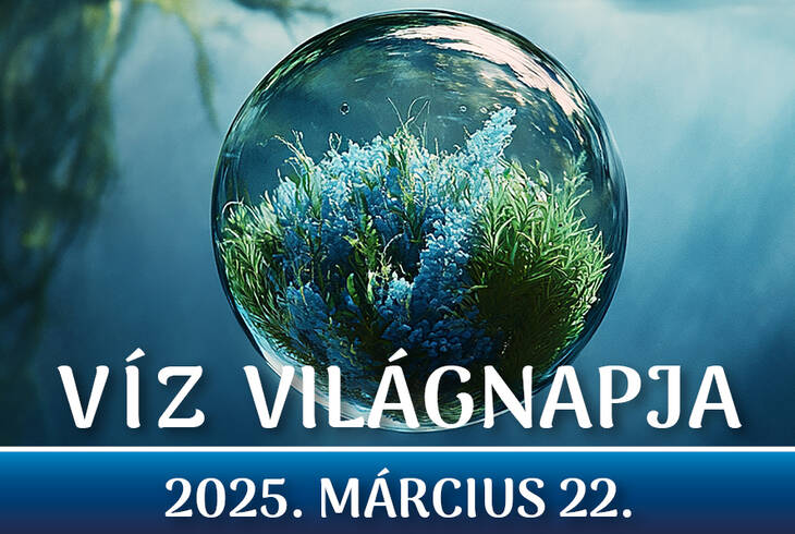Vz vilgnapja