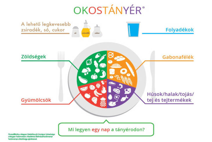 Tájékoztató az étkeztetésről