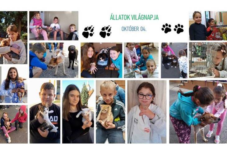 llatok vilgnapja 2023.10.04.