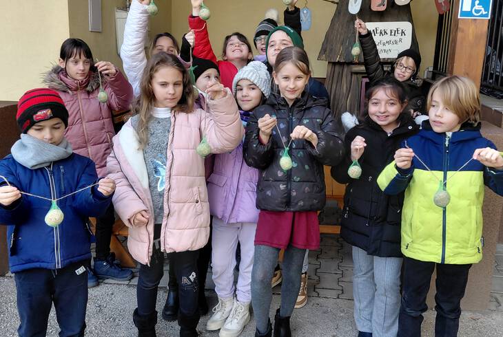 Madretetk kihelyezse