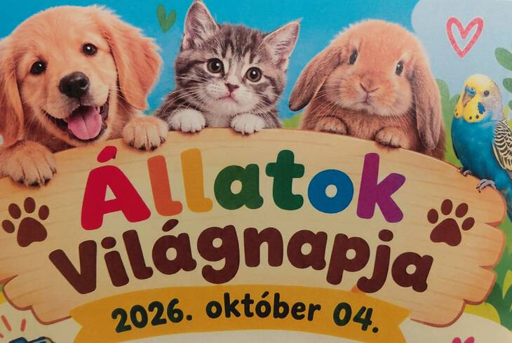Az �llatok vil�gnapja: egy �llati j� nap az iskol�ban